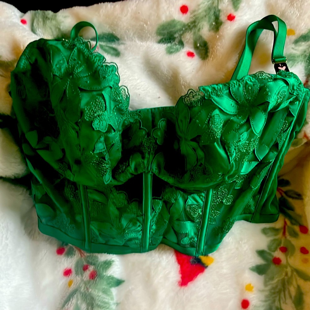 Brand new, pretty green lace Victoria’s Secret corset bra. Size L. Never worn.